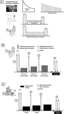 Measuring objective fatigability and autonomic dysfunction in clinical populations: How and why?